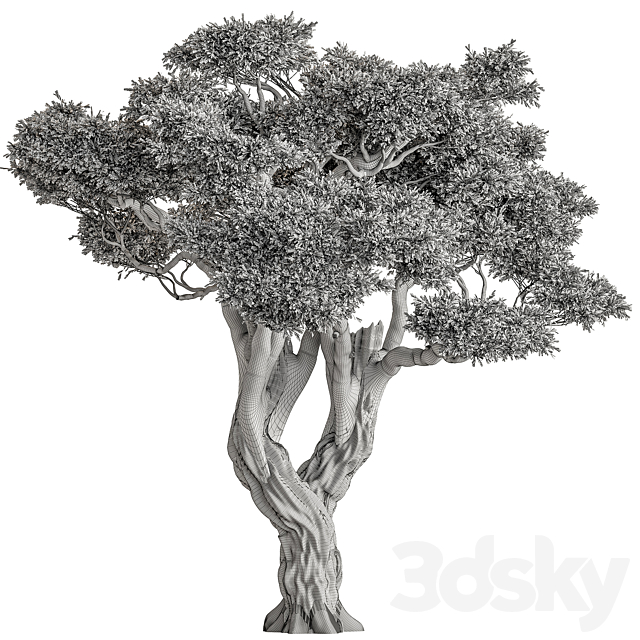 3dsky Free Download