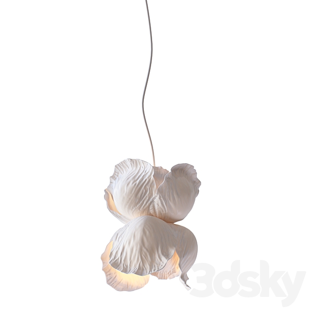 3D Model