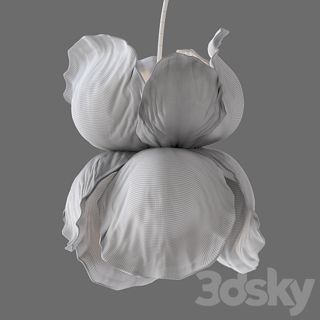 3d Download