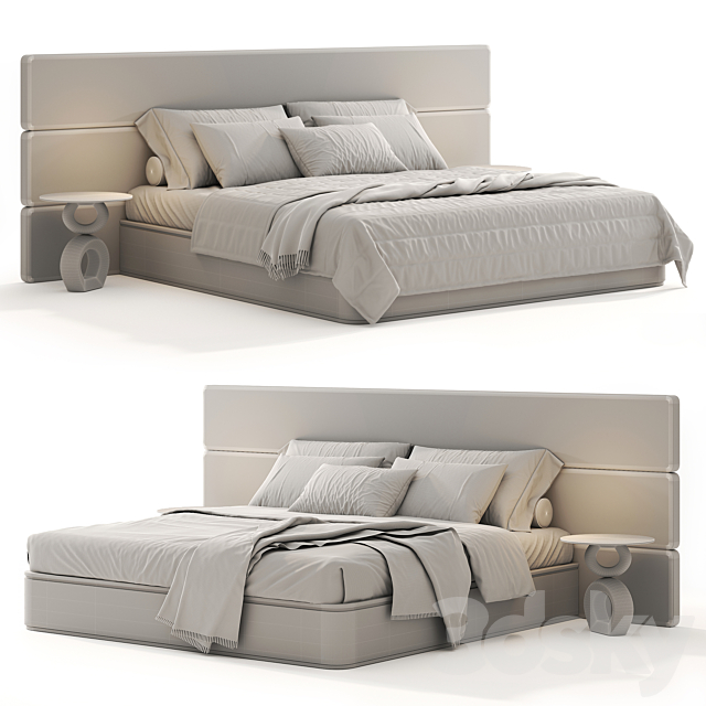 3D Model