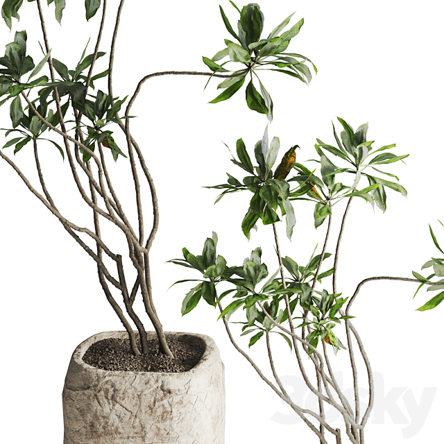 3dsky Free Download