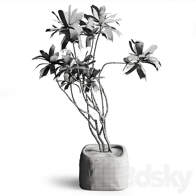 3dsky
