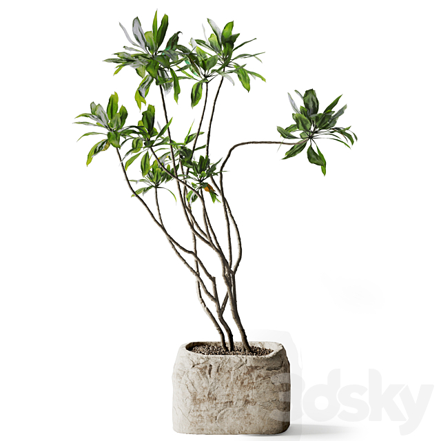 3dskyfree