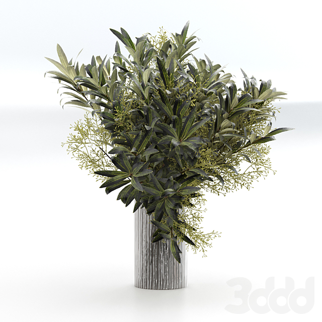Букет из веток оливы. - Букеты - 3D Модель