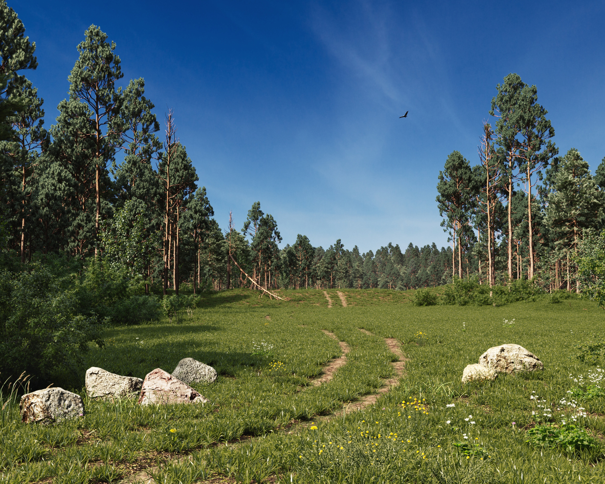 Фотообои Сосново. Февраль середина фото ВК Сосновый лес Луховицы. Почему бор назвали бор